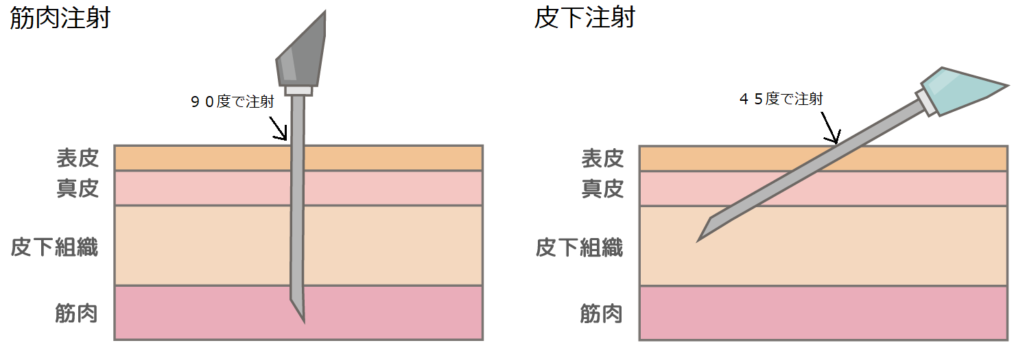 安全なワクチン接種の為に 日本医学臨床検査研究所 安全なワクチン接種の為に 日本医学臨床検査研究所