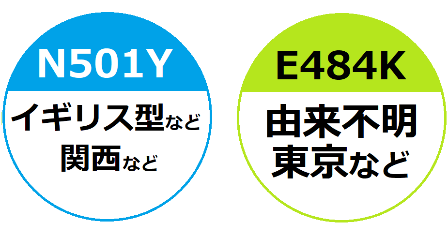 新型コロナウイルス変異株とは 日本医学臨床検査研究所 新型コロナウイルス変異株とは 日本医学臨床検査研究所