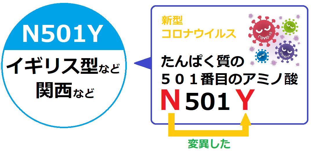 コロナ どこから きた