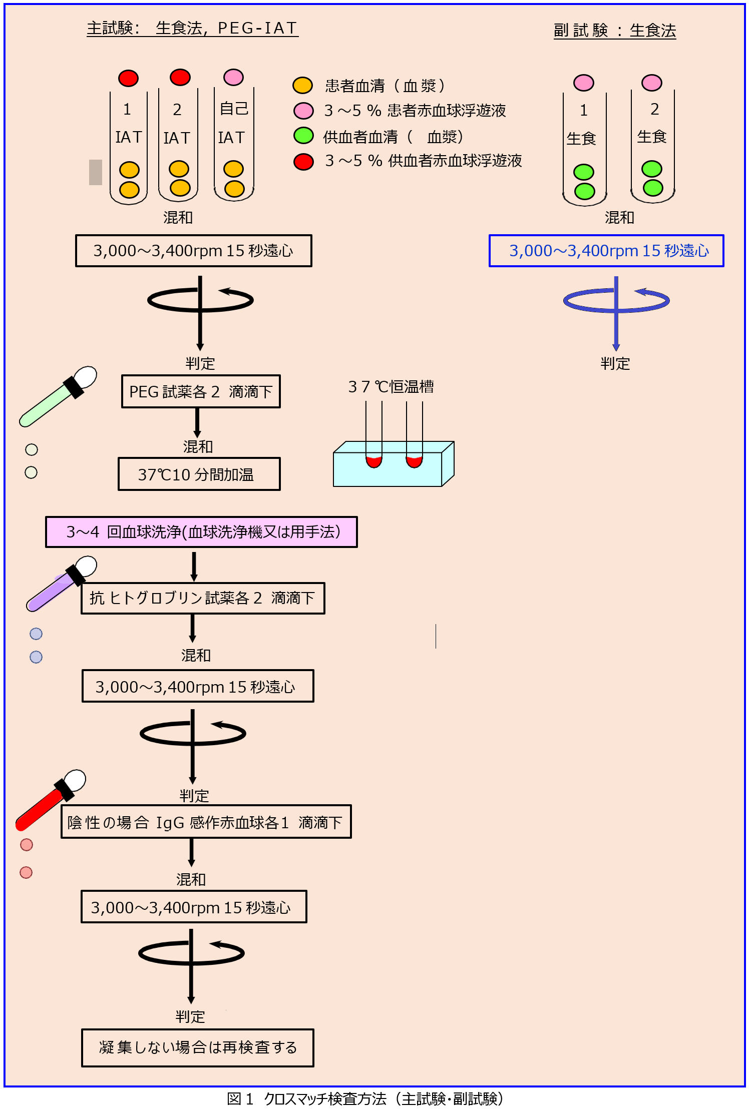 適合検査試験