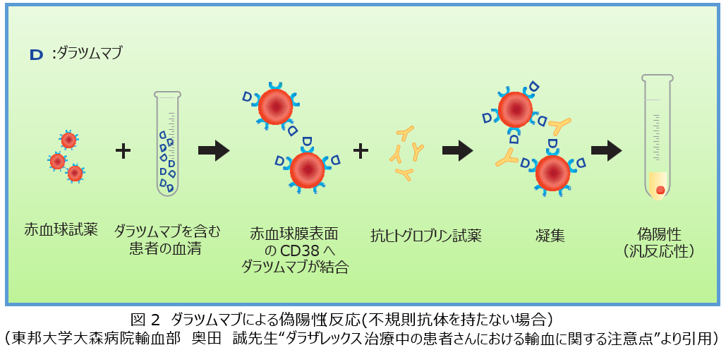 交差適合試験 クロスマッチ 日本医学臨床検査研究所