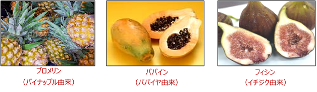 不規則抗体 日本医学臨床検査研究所