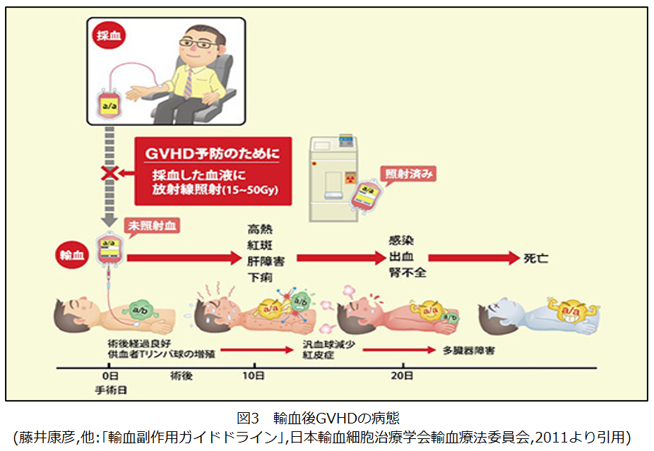 輸血副作用 日本医学臨床検査研究所