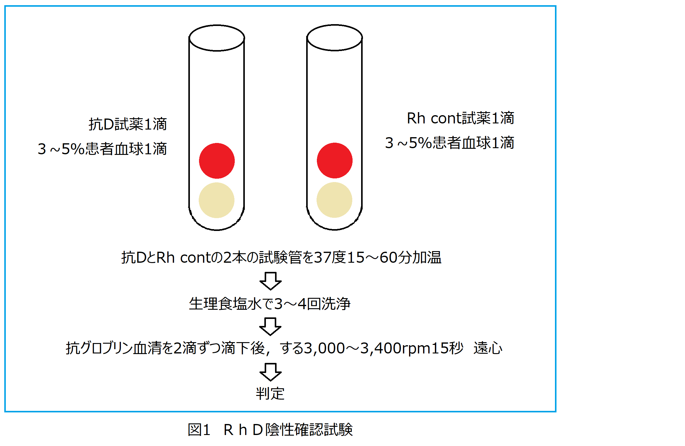 Rhd血液型とその他の稀な血液型について 日本医学臨床検査研究所